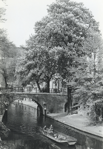 502935 Afbeelding van een bloeiende kastanjeboom bij de Jansbrug over de Oudegracht te Utrecht.